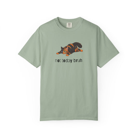 Long hair chimera cat Not Today Bruh T-Shirt