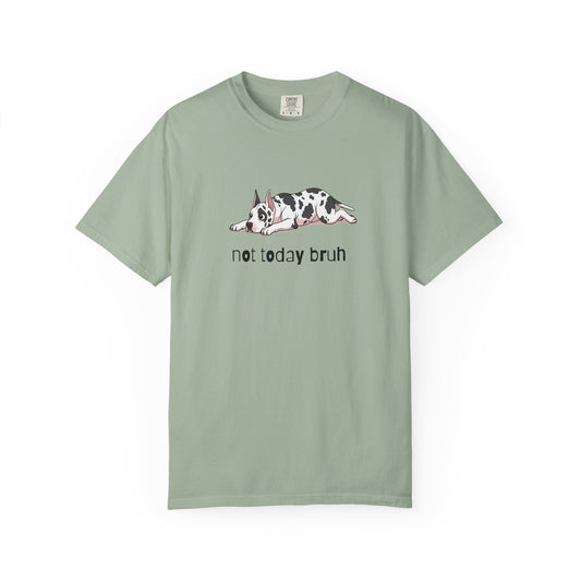 Great Dane Not Today Bruh T-Shirt