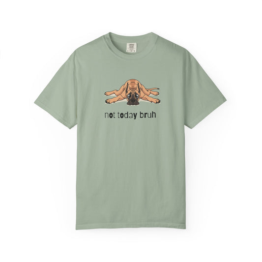 Great Dane Not Today Bruh T-Shirt