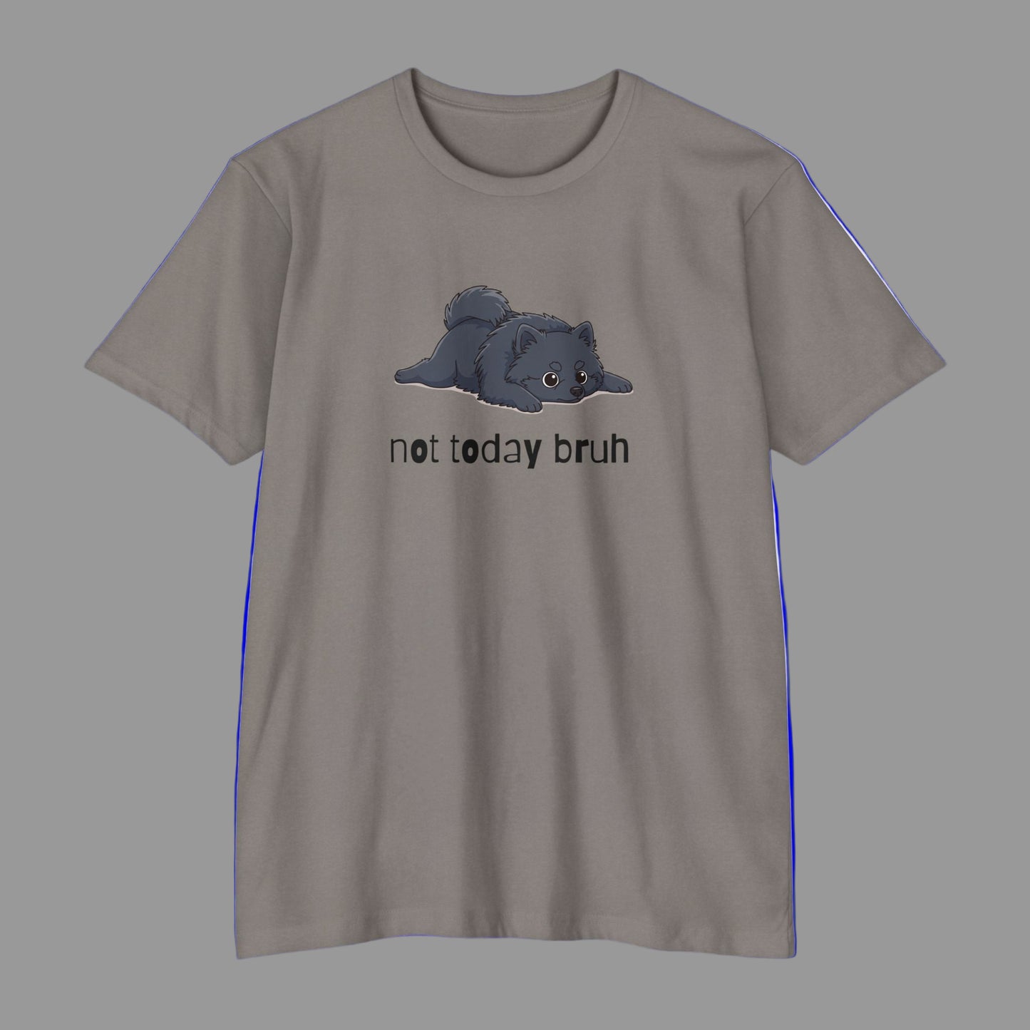 Gray t-shirt with a pom graphic and 'not today bruh' text on a blue background