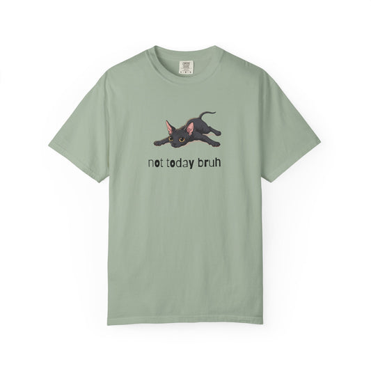Sphynx Not Today Bruh T-Shirt