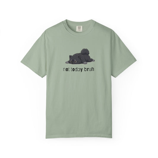 Pomeranian Not Today Bruh T-Shirt