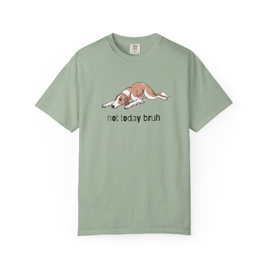 Borzoi Not Today Bruh T-Shirt