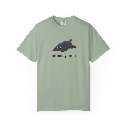 Poodle Not Today Bruh T-Shirt