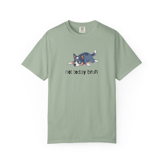 Blue Heeler Not Today Bruh T-Shirt