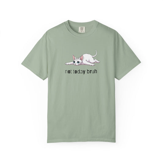 Sphynx Not Today Bruh T-Shirt