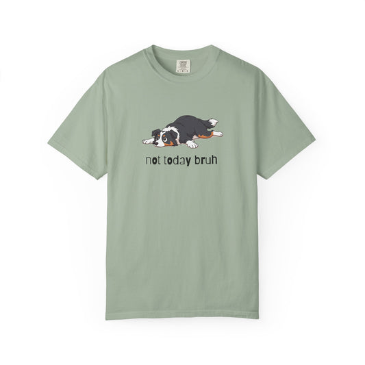 Border Collie Not Today Bruh T-Shirt