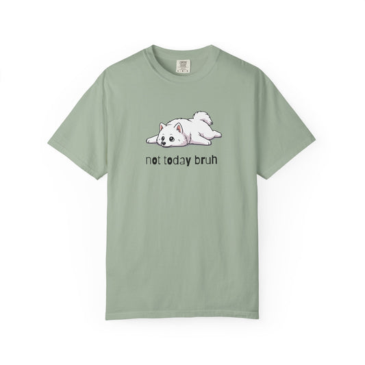 Samoyed Not Today Bruh T-Shirt