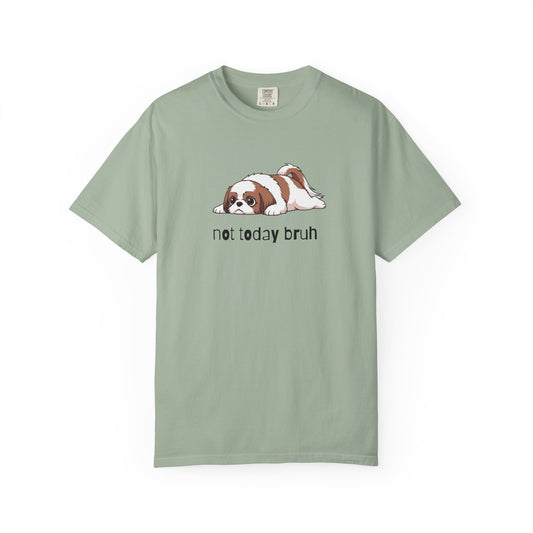 Shih Tzu Not Today Bruh T-Shirt