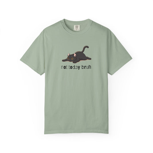 American Curl Not Today Bruh T-Shirt