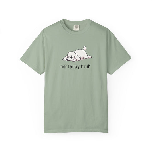 Poodle Not Today Bruh T-Shirt
