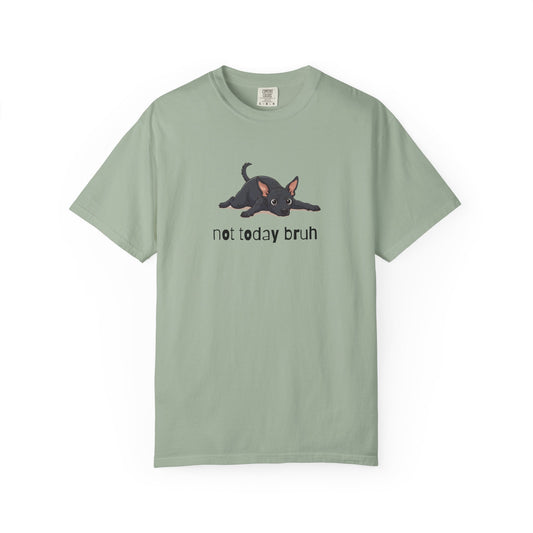 Hairless Dog Not Today Bruh T-Shirt