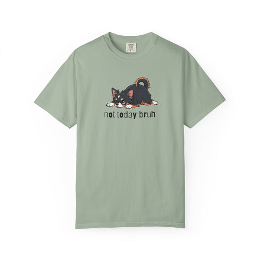 Chihuahua Not Today Bruh T-Shirt