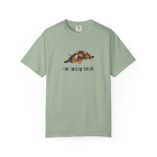 Short hair chimera cat Not Today Bruh T-Shirt