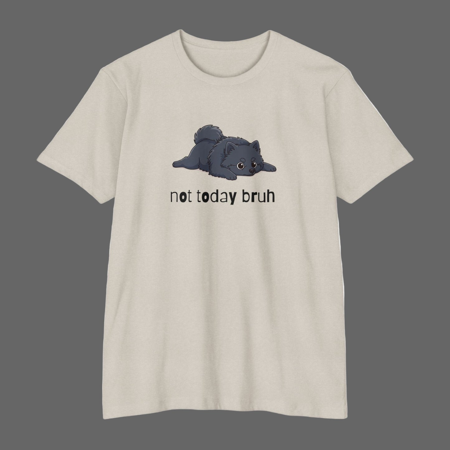 Pomeranian "Not Today" Relaxed Tee | Gift for Pet Lovers