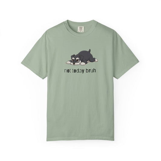 Schnauzer Not Today Bruh T-Shirt