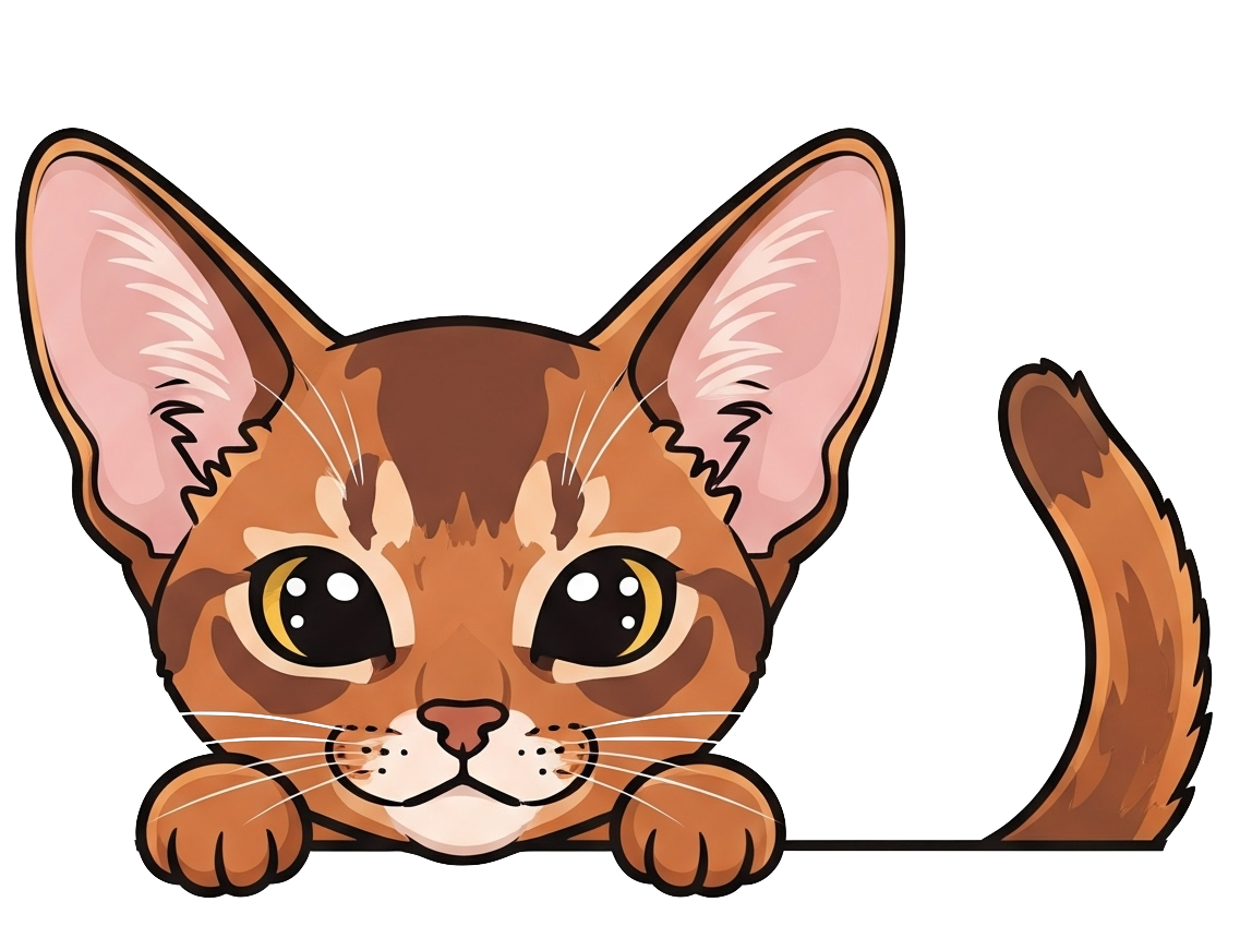 Abyssinian Cat Collection