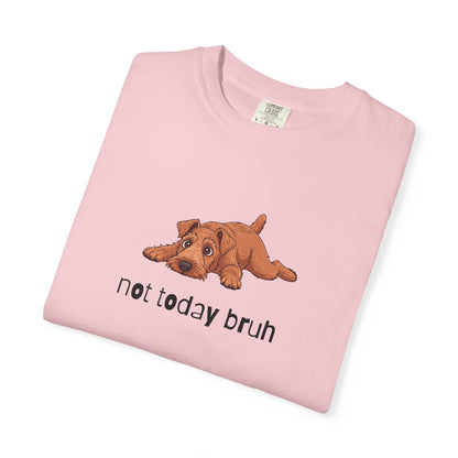 Irish Terrier Not Today Bruh T-Shirt