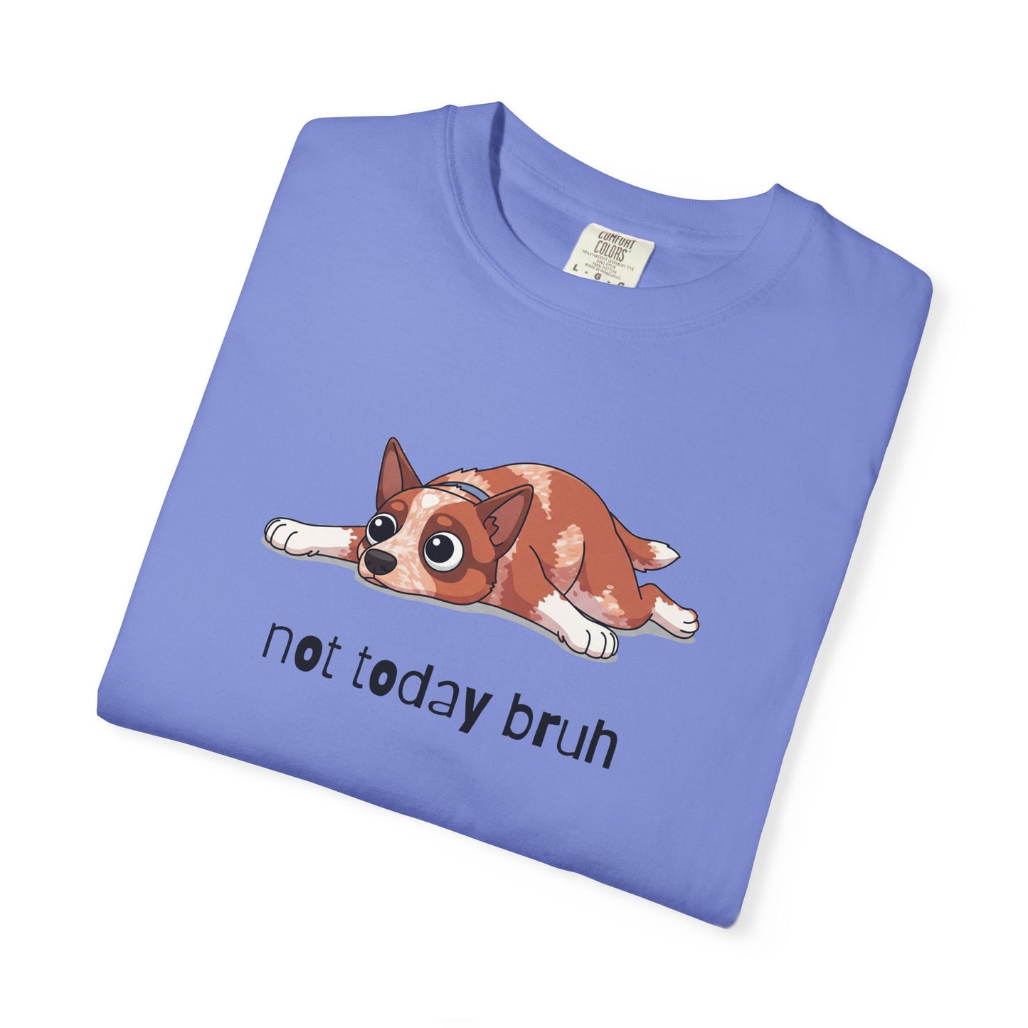 Heeler Not Today Bruh T-Shirt