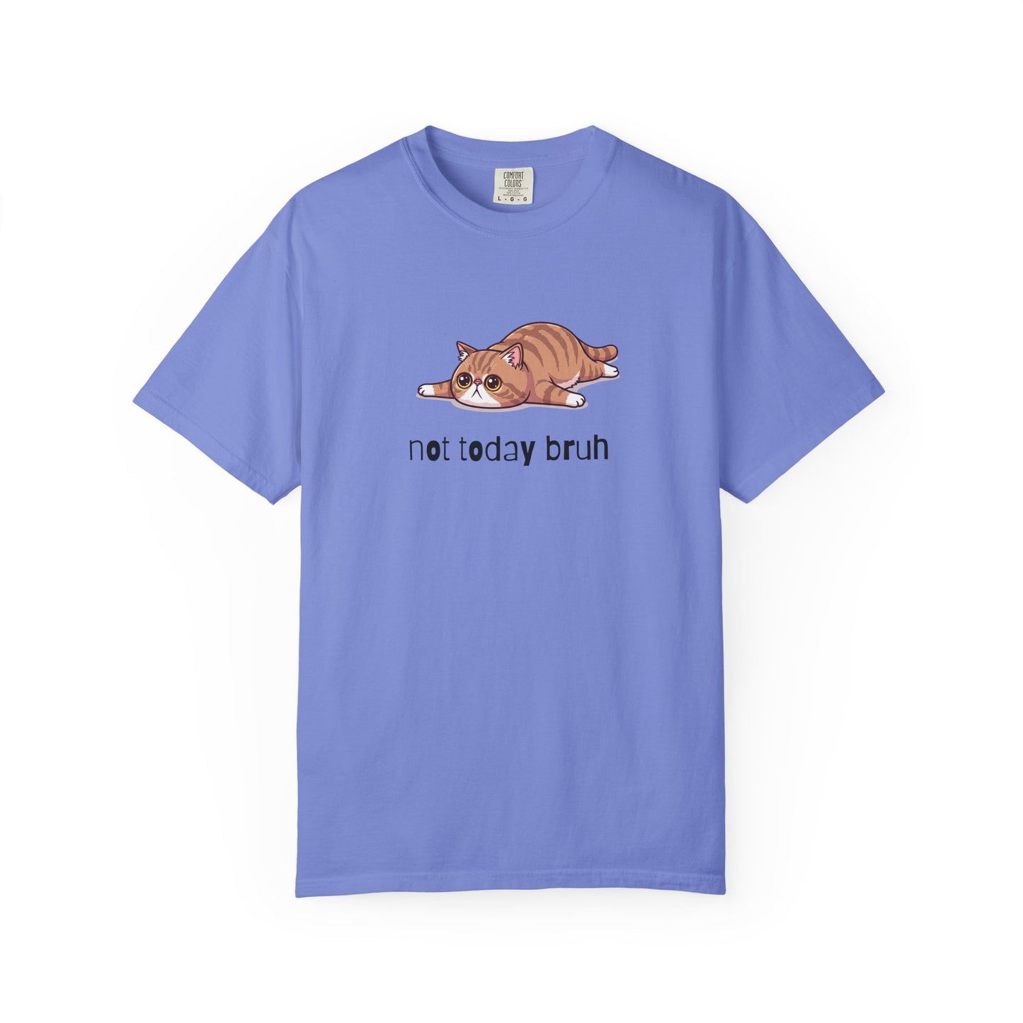 Exotic Shorthair Not Today Bruh T-Shirt
