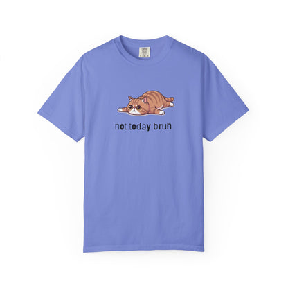 Exotic Shorthair Not Today Bruh T-Shirt