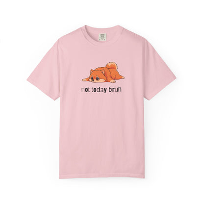 Pomeranian Not Today Bruh T-Shirt