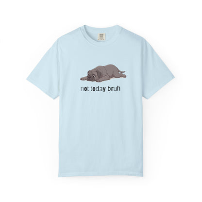 Mastiff Not Today Bruh T-Shirt