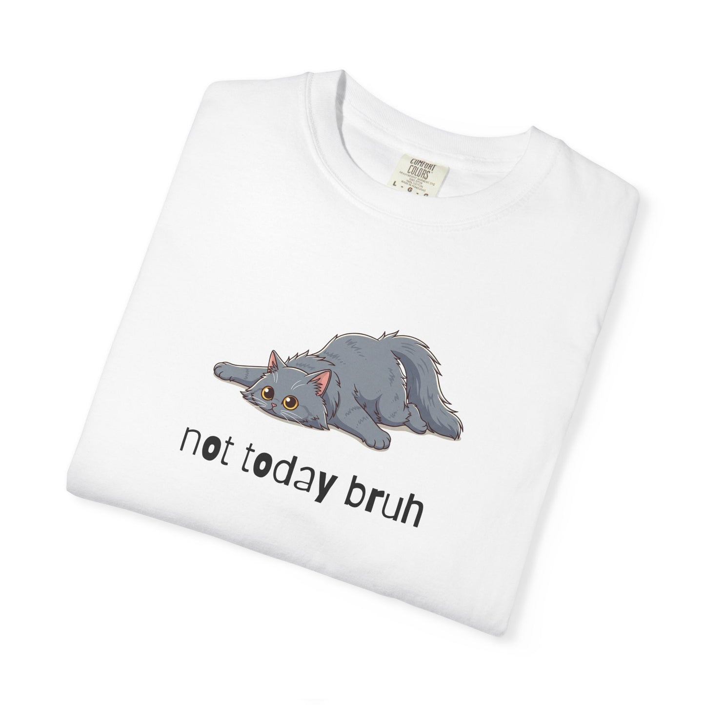 Long hair gray cat Not Today Bruh T-Shirt