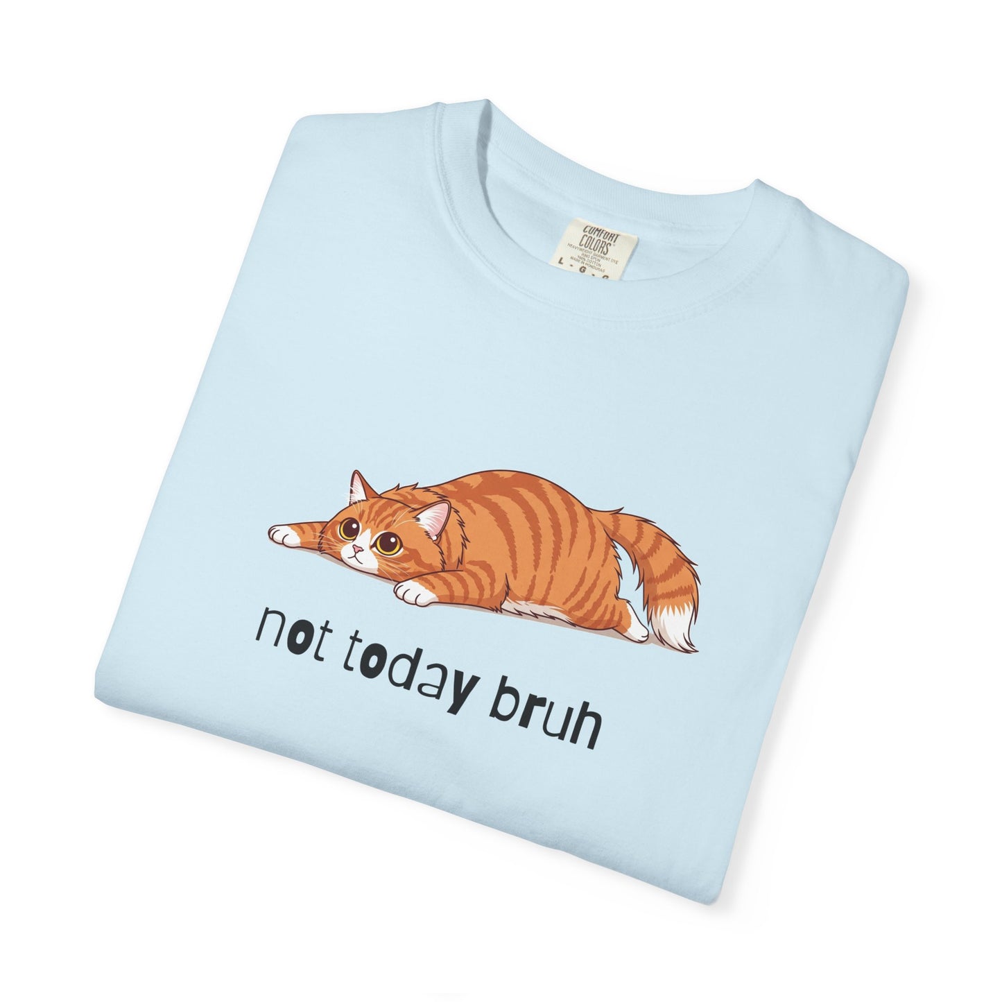 Long hair orange cat Not Today Bruh T-Shirt