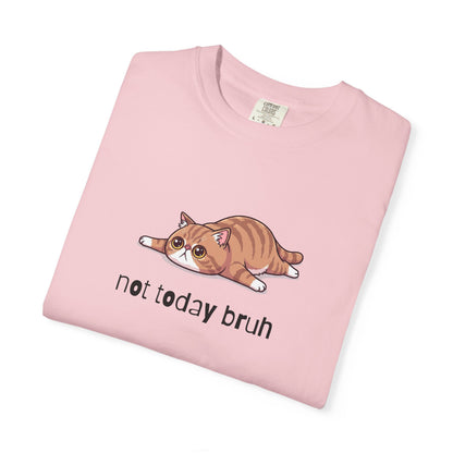 Exotic Shorthair Not Today Bruh T-Shirt