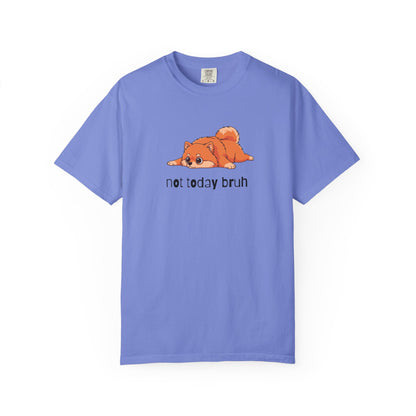 Pomeranian Not Today Bruh T-Shirt