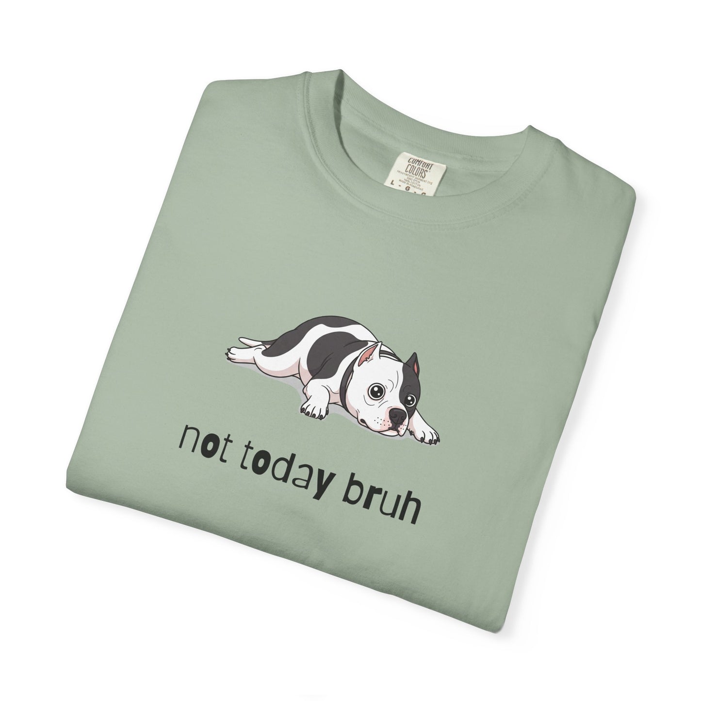 Pitbull Not Today Bruh T-Shirt