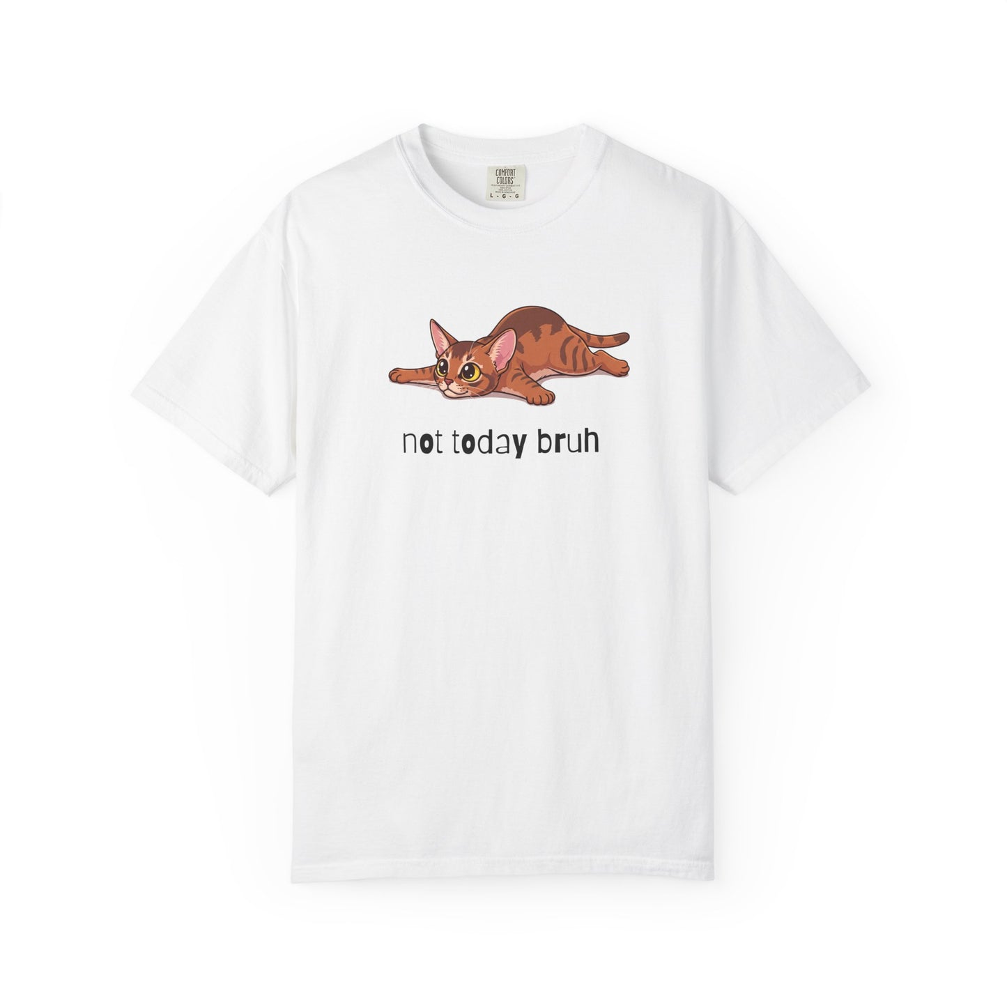 Abyssinian Not Today Bruh T-Shirt