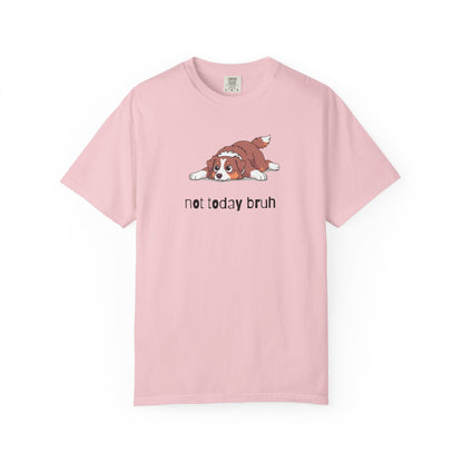 Aussie Not Today Bruh T-Shirt