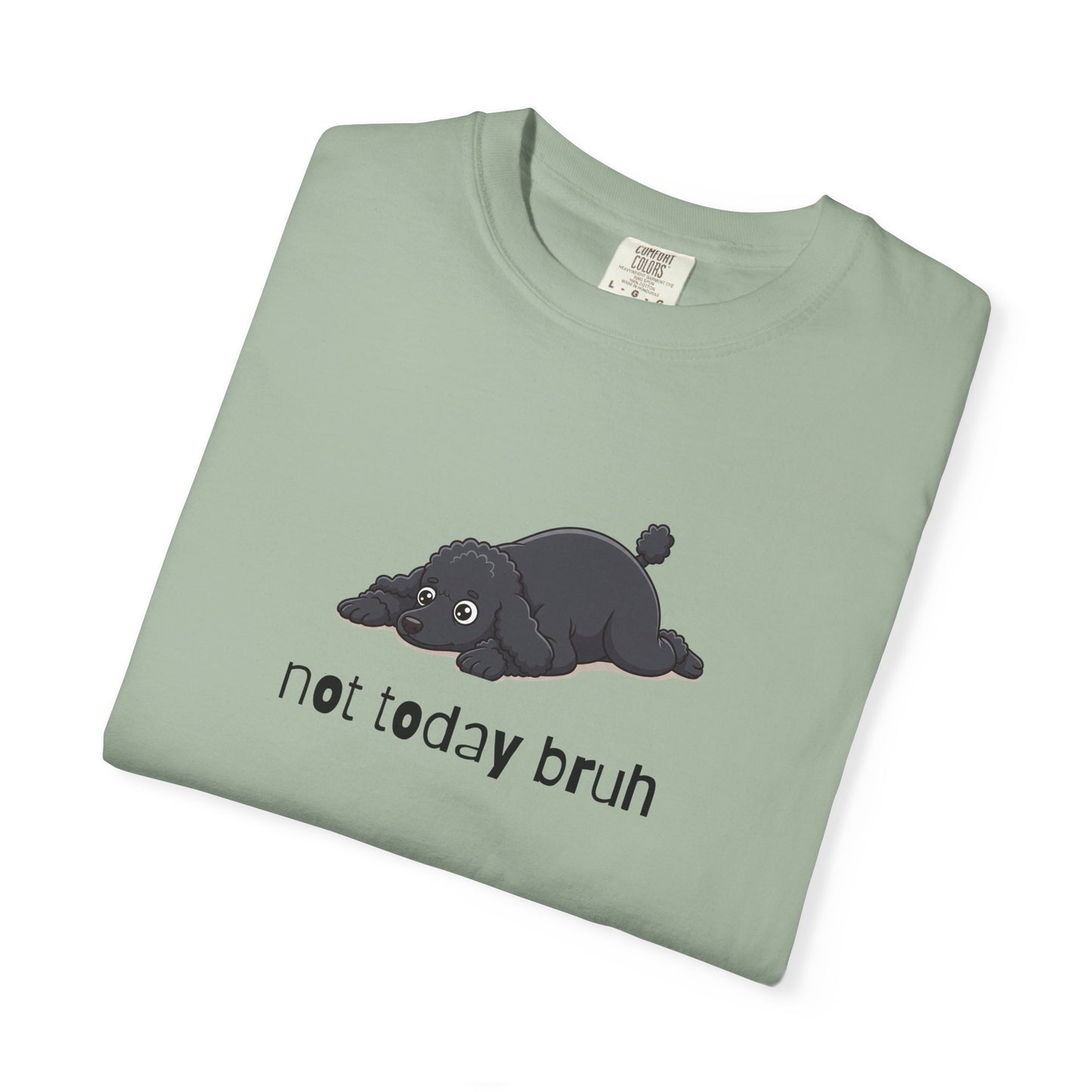 Poodle Not Today Bruh T-Shirt