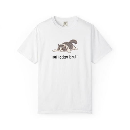 Long hair bi-color gray cat Not Today Bruh T-Shirt