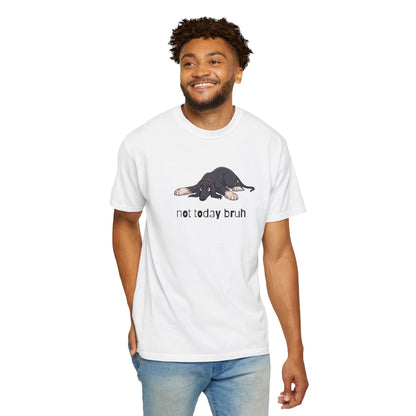 Afghan Hound Not Today Bruh T-Shirt