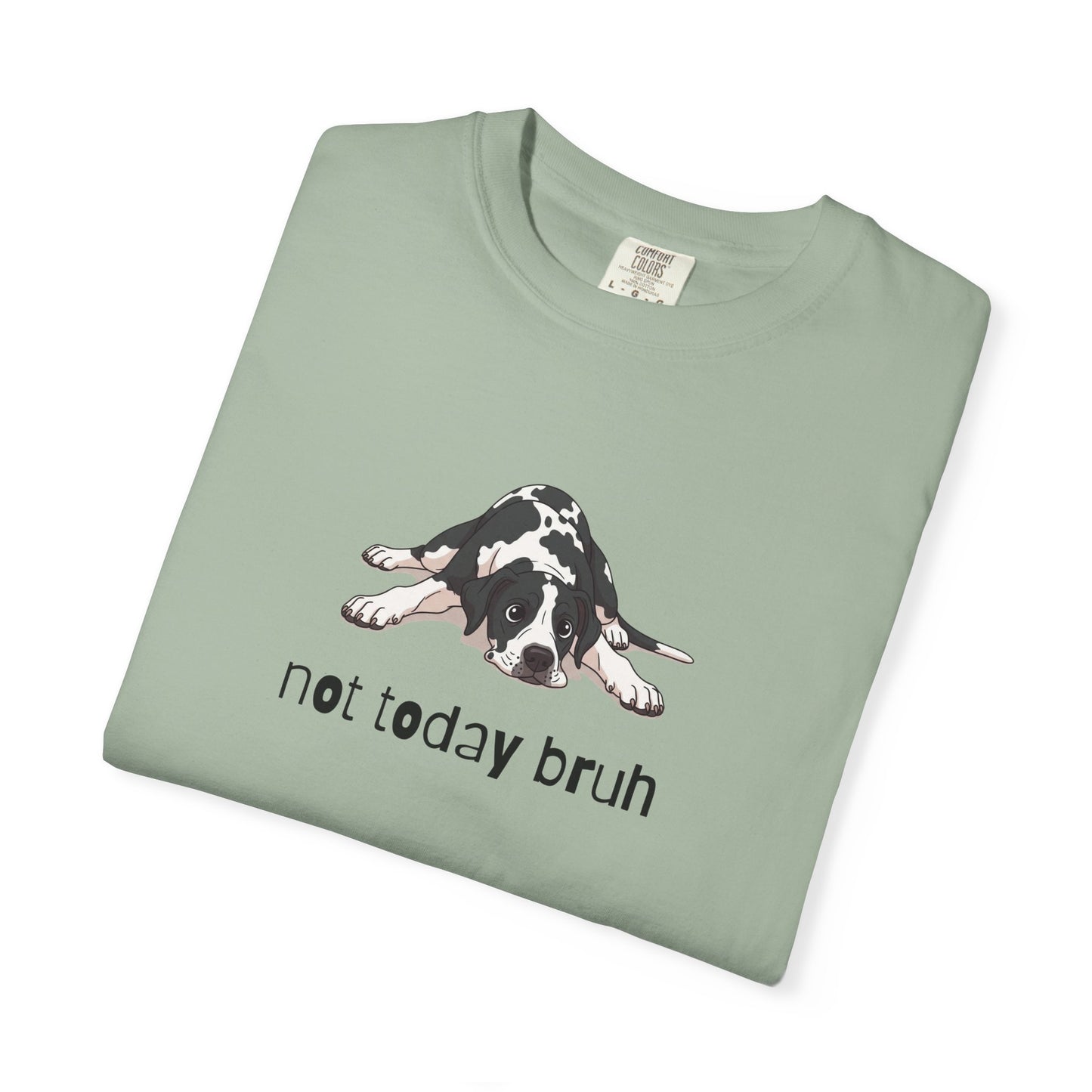 Great Dane Not Today Bruh T-Shirt