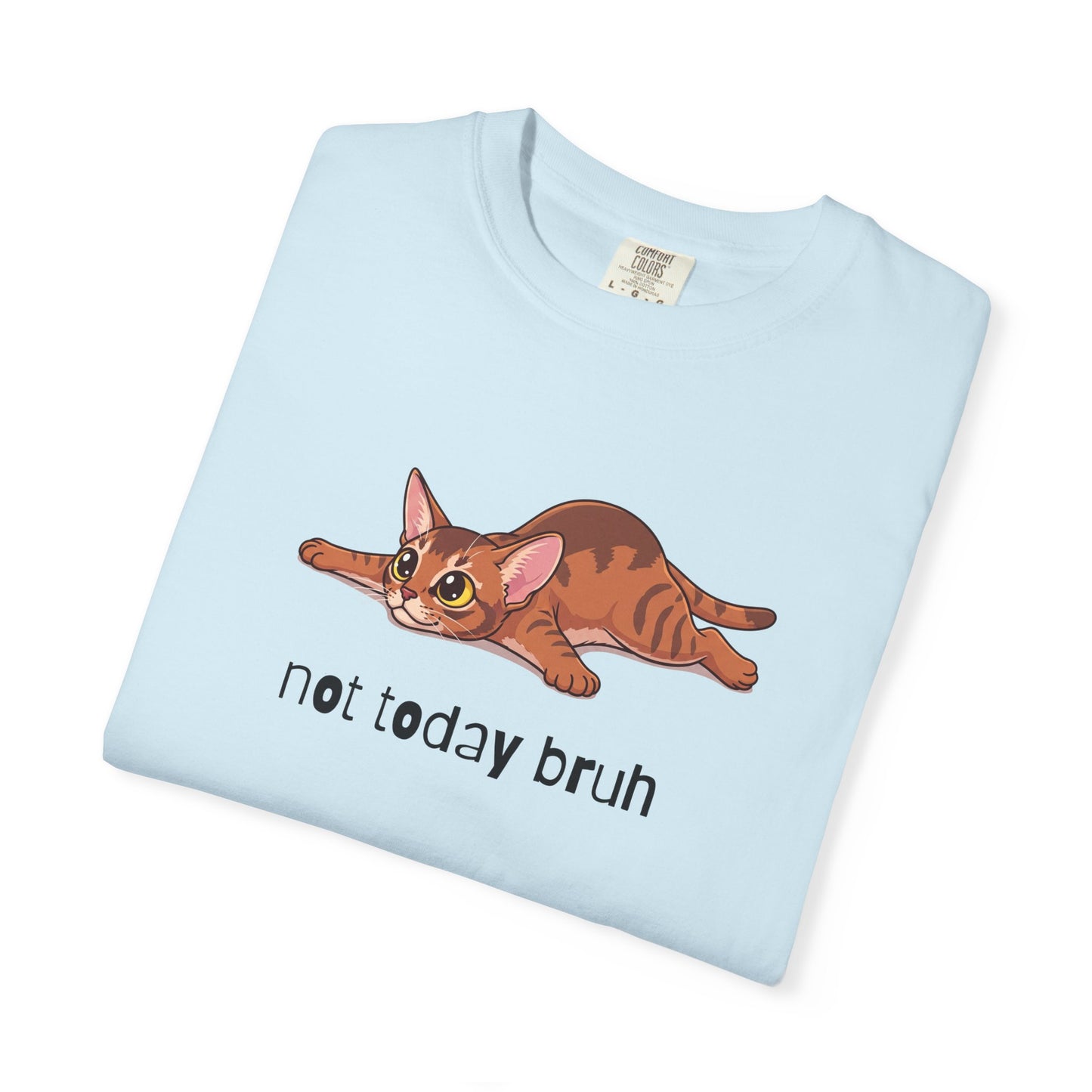 Abyssinian Not Today Bruh T-Shirt