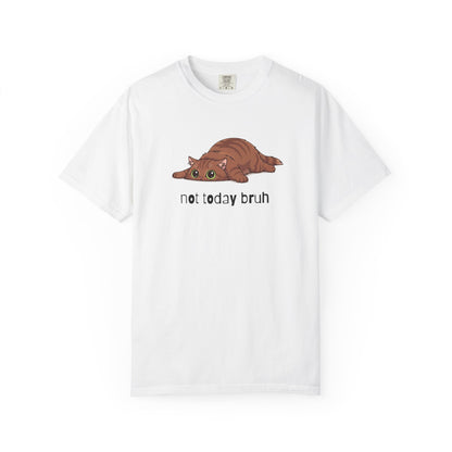 Long hair brown cat Not Today Bruh T-Shirt