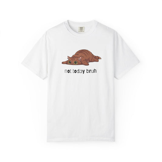 Long hair brown cat Not Today Bruh T-Shirt