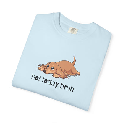 Dacshund Not Today Bruh T-Shirt
