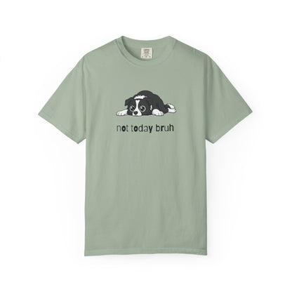 Border Collie Not Today Bruh T-Shirt