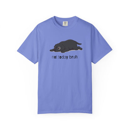 Labrador Not Today Bruh T-Shirt