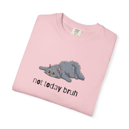 Long hair gray cat Not Today Bruh T-Shirt