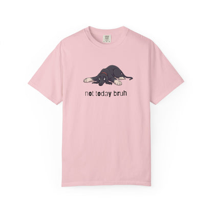 Afghan Hound Not Today Bruh T-Shirt