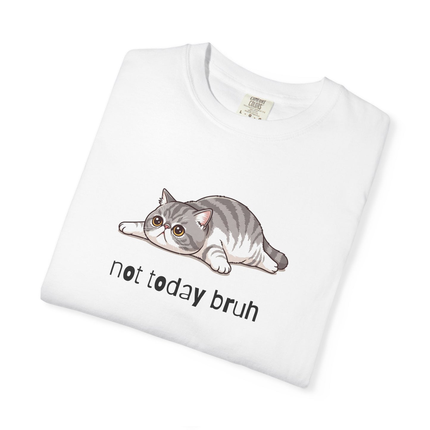 Exotic Shorthair Not Today Bruh T-Shirt
