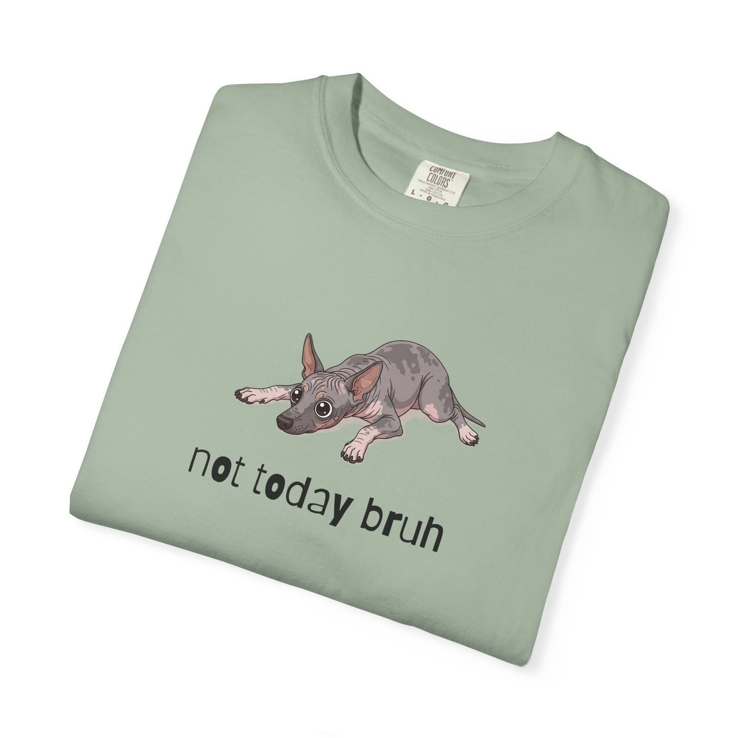 Hairless Dog Not Today Bruh T-Shirt