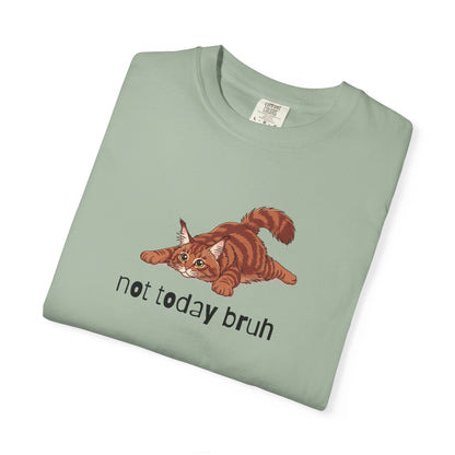 Maine Coon Not Today Bruh T-Shirt