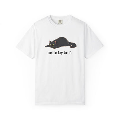 Long hair black cat Not Today Bruh T-Shirt